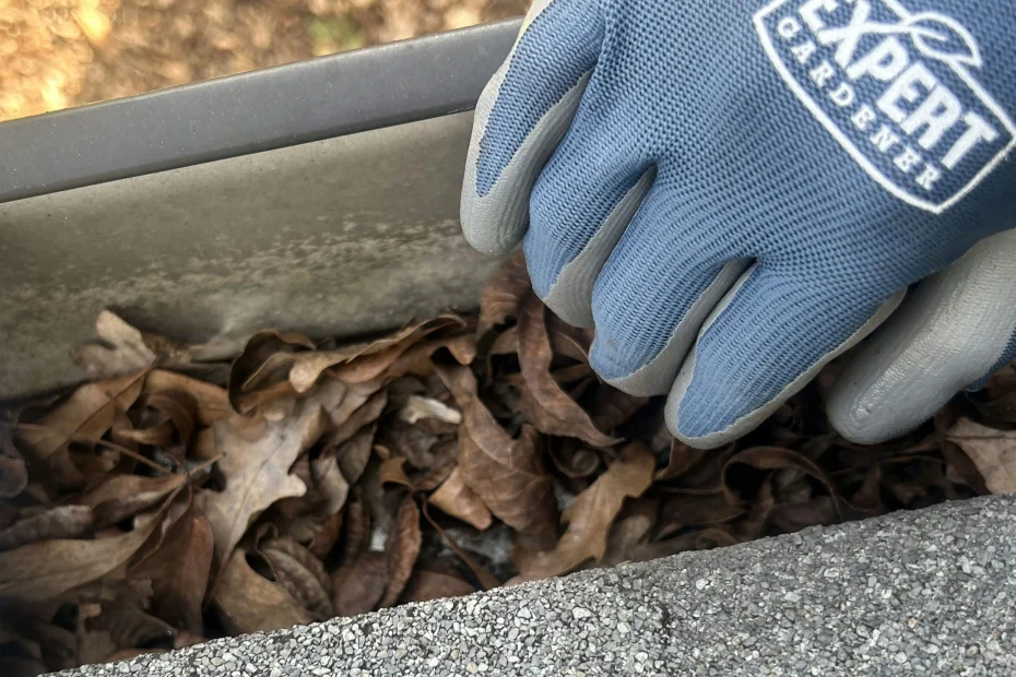 Gutter Cleaning West Palm Beach FL