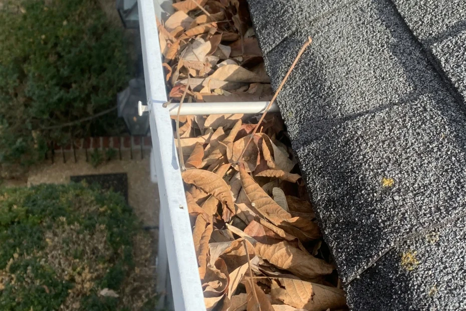 Gutter Cleaning West Palm Beach FL